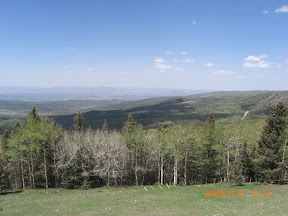 Where we are headed....NM