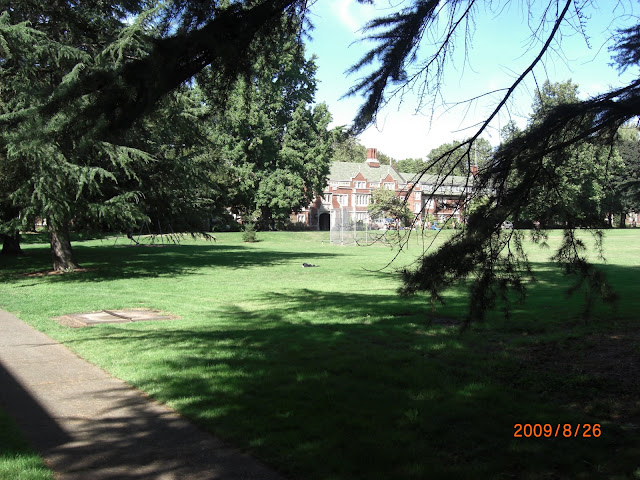 View from Davids Dorm looking towards the other side of campus.