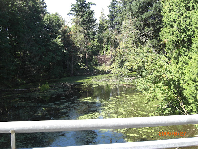 The lake again.  I'm standing on a bridge that crosses the lake so that that students can get from one side of the campus to the other without disturbing the lake or the canyon.