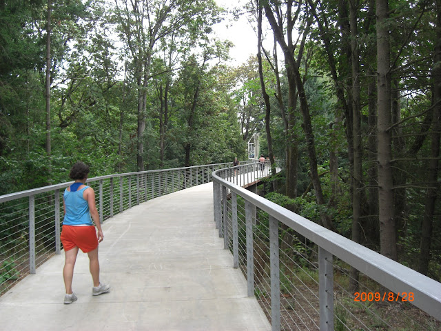 This is another bridge on Reed campus that crosses the other end of the canyon.  This is looking from the West side of campus to the east side of campus.  The Quad is at the end of the bridge.