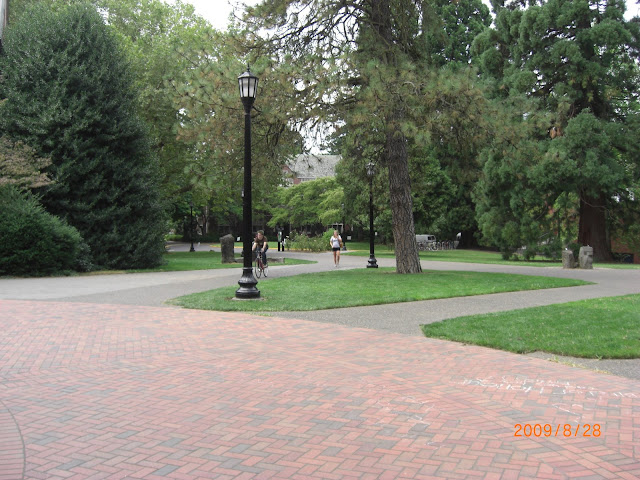 Another picture of the Quad.