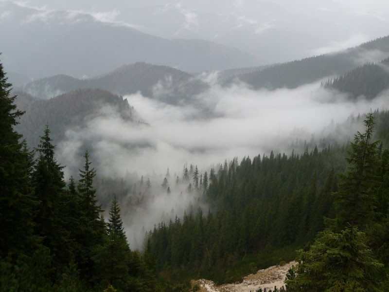 Piatra Craiului