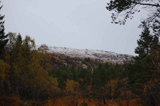 [DSC_0508[4].jpg]