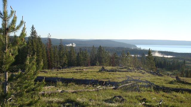 [DSC02623[5].jpg]