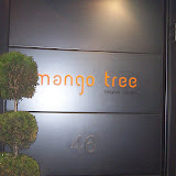Mango Tree 2007_03_25