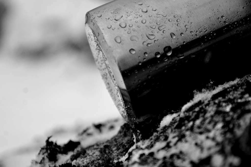 [DSC_2536[12].jpg]