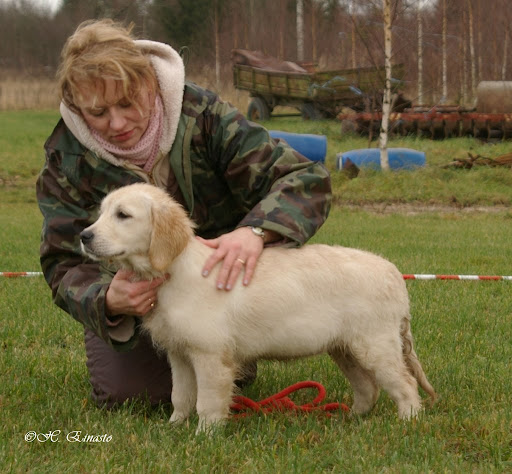 jt leidinger