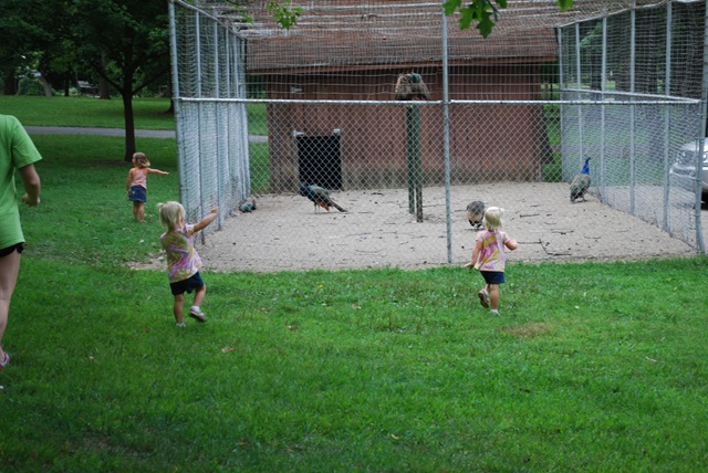 [2010-08-21 021[3].jpg]
