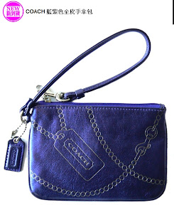 COACH 藍紫色全皮手拿包