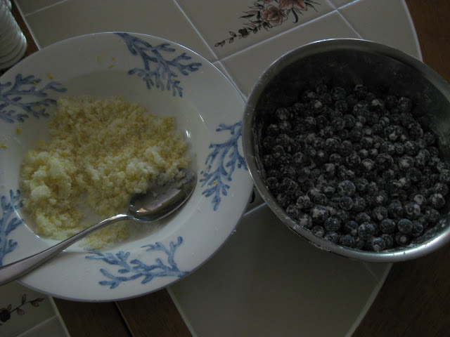 Lemon sugar and floured blueberries
