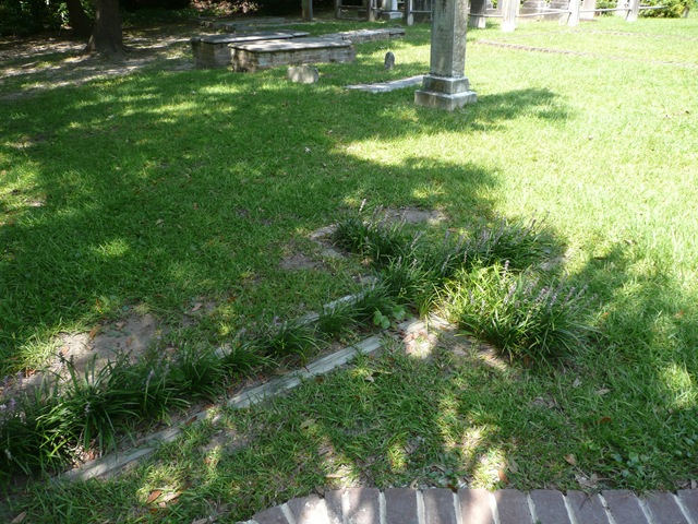 [P10308332.jpg]