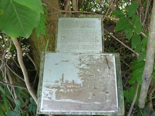 [P10306412.jpg]