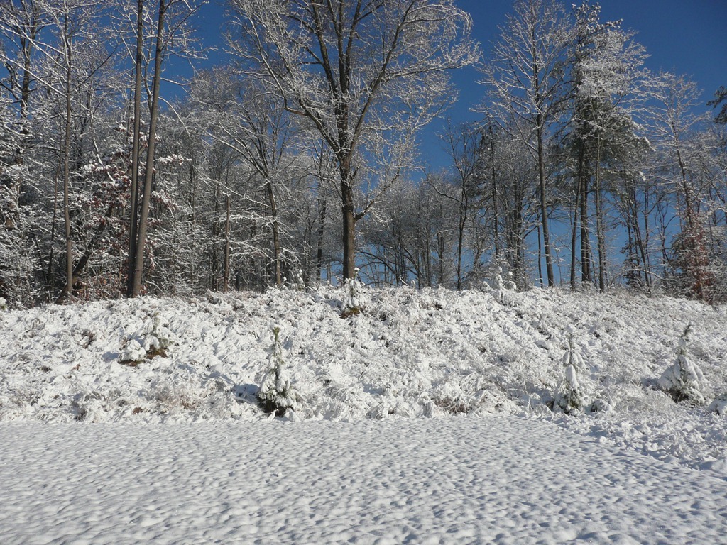 [P1060652[3].jpg]