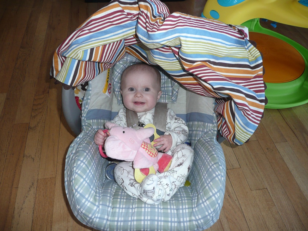 [P1060420[3].jpg]
