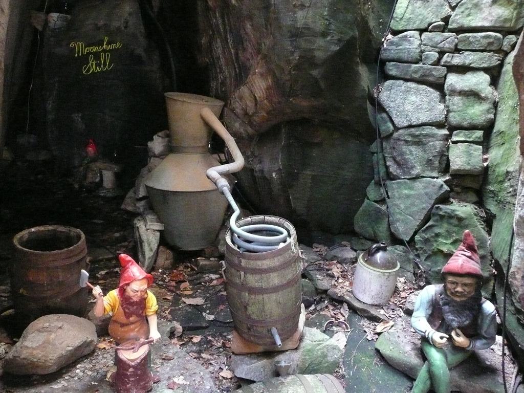 [P1080454[3].jpg]