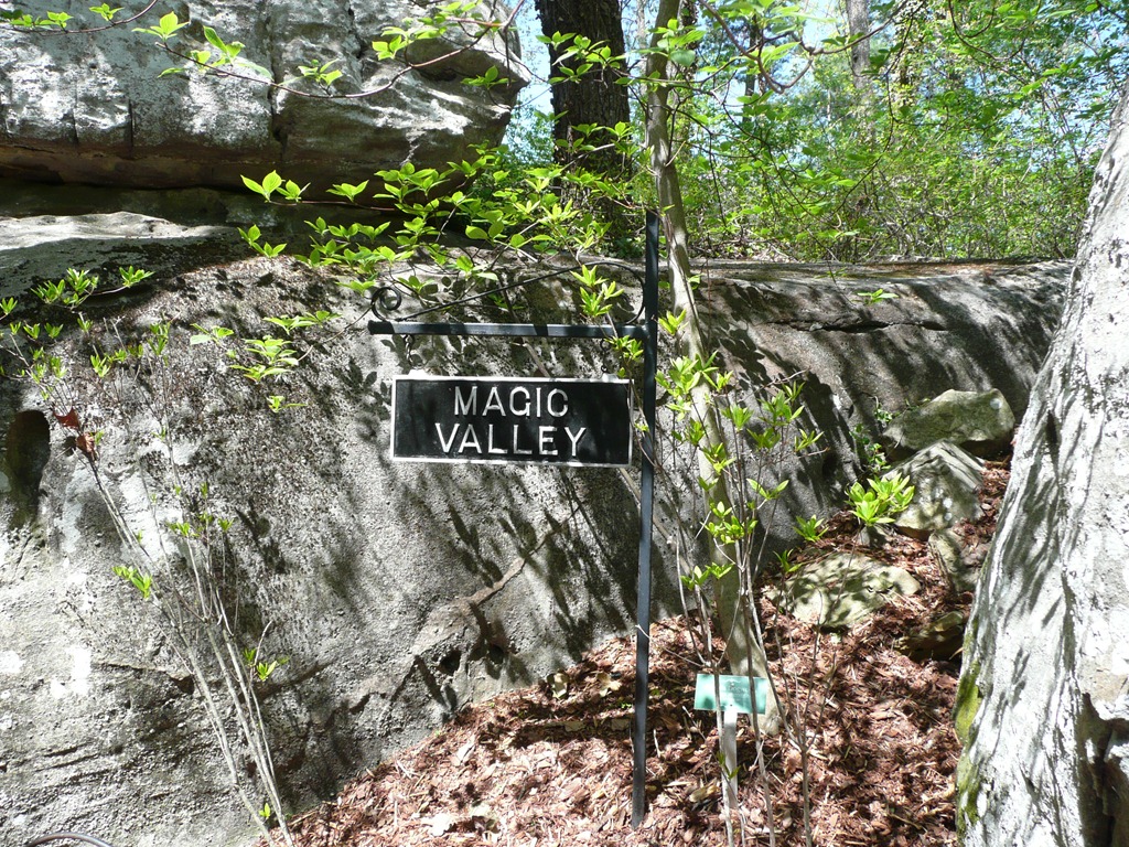 [P1080459[3].jpg]
