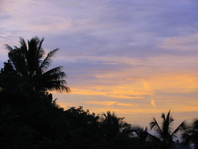 [IMG_00554.jpg]