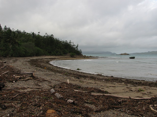[IMG_00716.jpg]