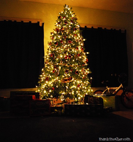 [tree3.jpg]