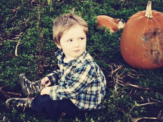 pumpkin patch and more 069