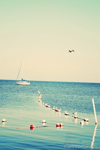 [sea6.jpg]