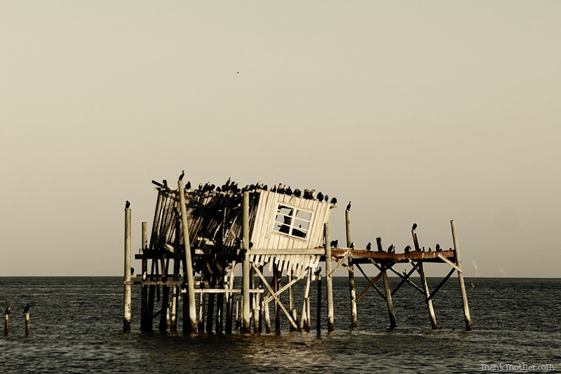 shack2
