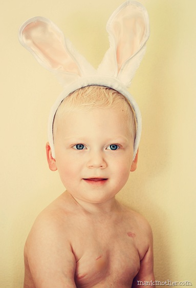 bunny