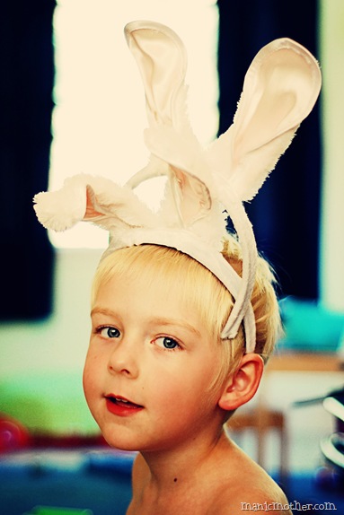 bunny2