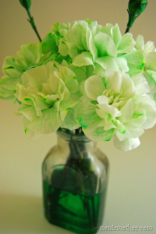 [green flowers[2].jpg]