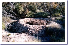 malee nest