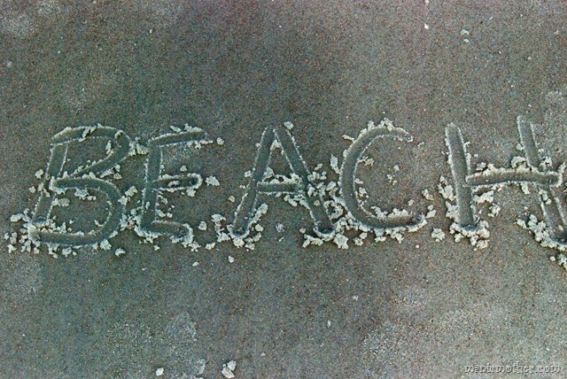 [oceanbeach5.jpg]