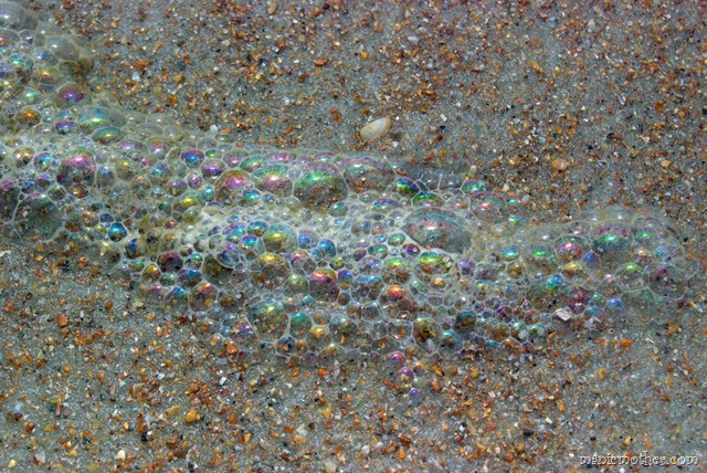 [oceanseafoam3.jpg]