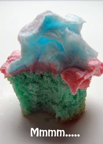 [cottoncandycupcake26.jpg]