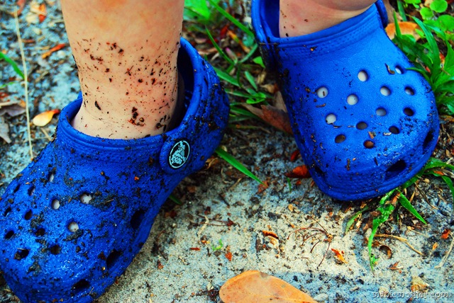 [crocs10.jpg]