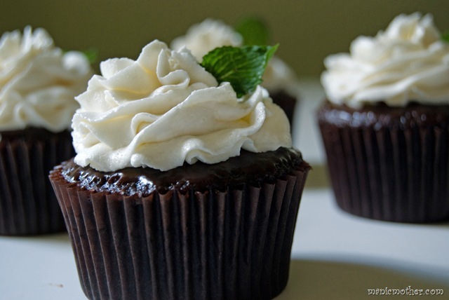 [mintcupcake4114.jpg]