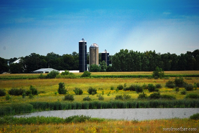 [farmview8.jpg]