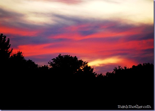 sunset1d