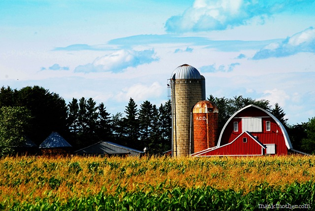 [barn11[9].jpg]