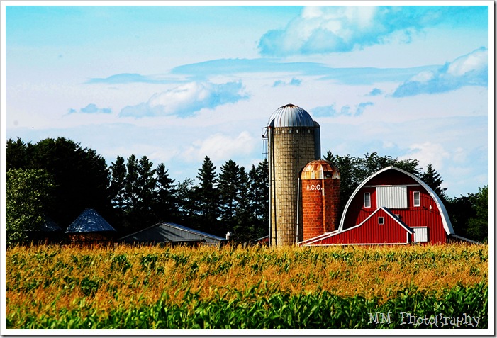 barn11
