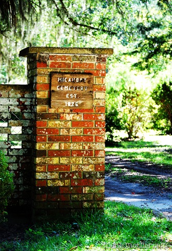 micanopy 343 copy