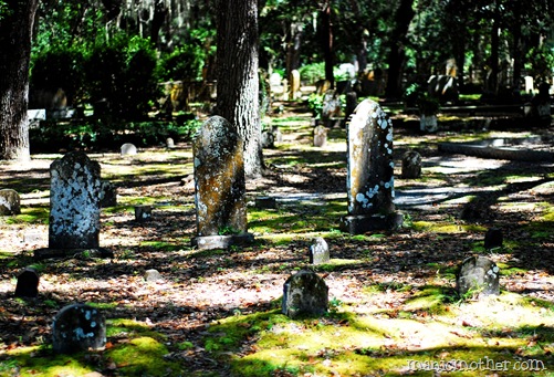 micanopy 219