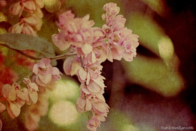 [texturea10.jpg]