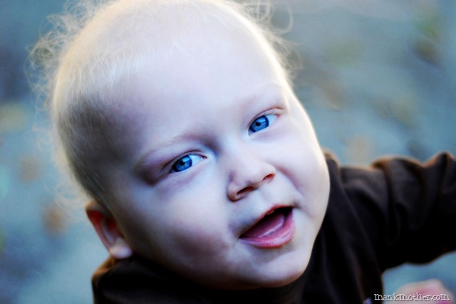 [DSC_0646 copy 2[10].jpg]