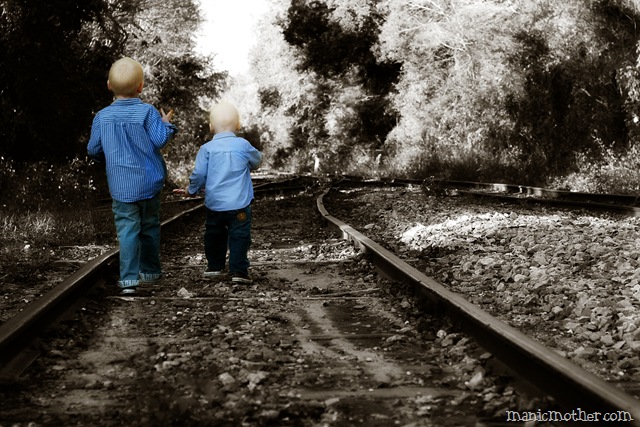 [DSC_0369tracks[8].jpg]
