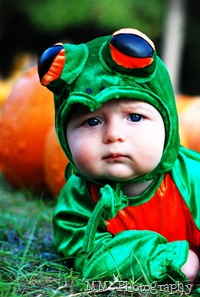 frog