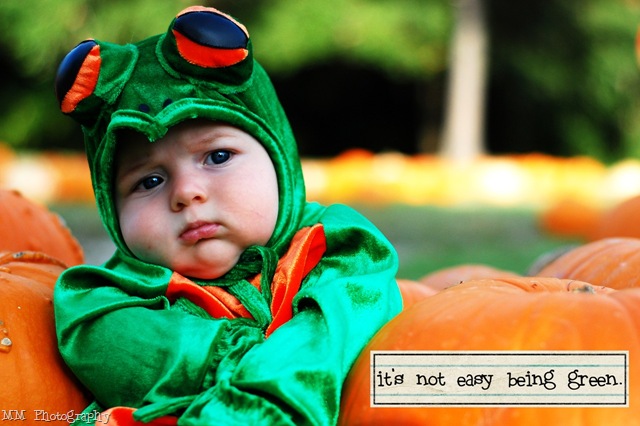 [froggreen3.jpg]