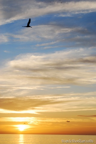 [sunset4[6].jpg]