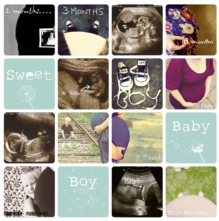pregstortybpardweb