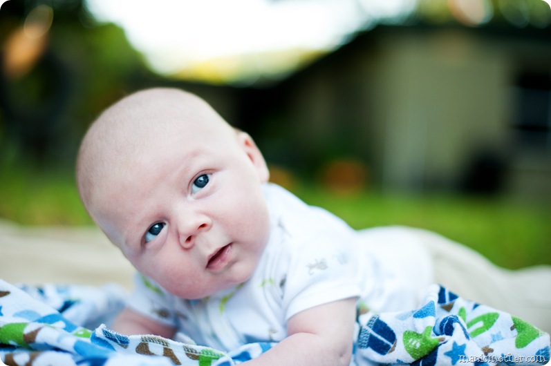 _DSC5007web3