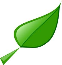 [leaf9.png]